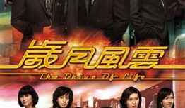 岁月风云粤语电视剧,粤韵飘香，风云际会人生路